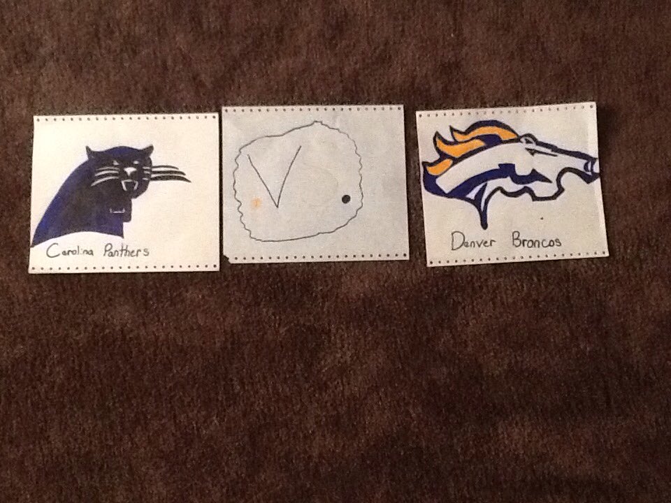 TracyAnnRobert3's tweet photo. I drew the Carolina Panthers and the Denver Broncos!!!!!!!!!#SuperBowlSunday2016 https://t.co/cEynH2IOyi
