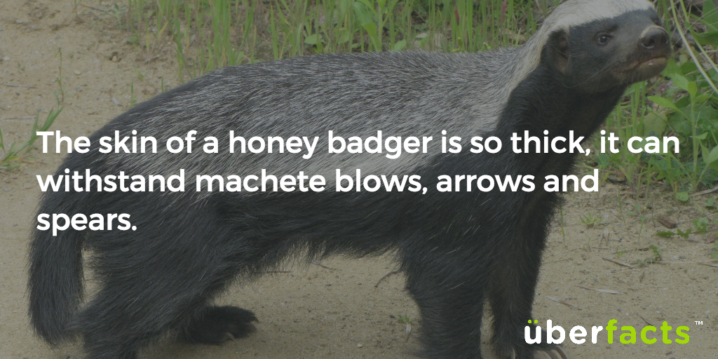 UberFacts's tweet photo. Geez. https://t.co/ObMqiueGyc