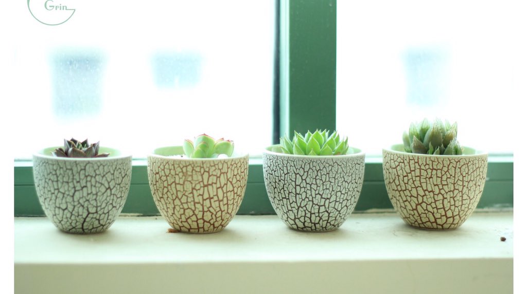 GardenDesignMag's tweet photo. Cultivating indoor plant tips from @TheSill on @realtordotcom https://t.co/R53b2hcjJE #nyc @nancy_fire @k_aul https://t.co/lFR9qi5WxD