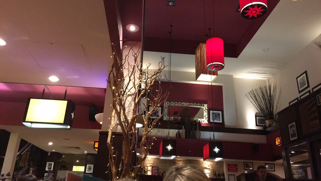 Are these lights pretty I think so I put them up