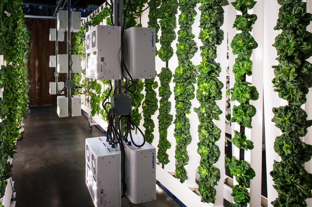 Bright Agrotech designed ZipFarm indoor vertical farming. Vote for the #InventorOfTheYear: autode.sk/1STmXSA