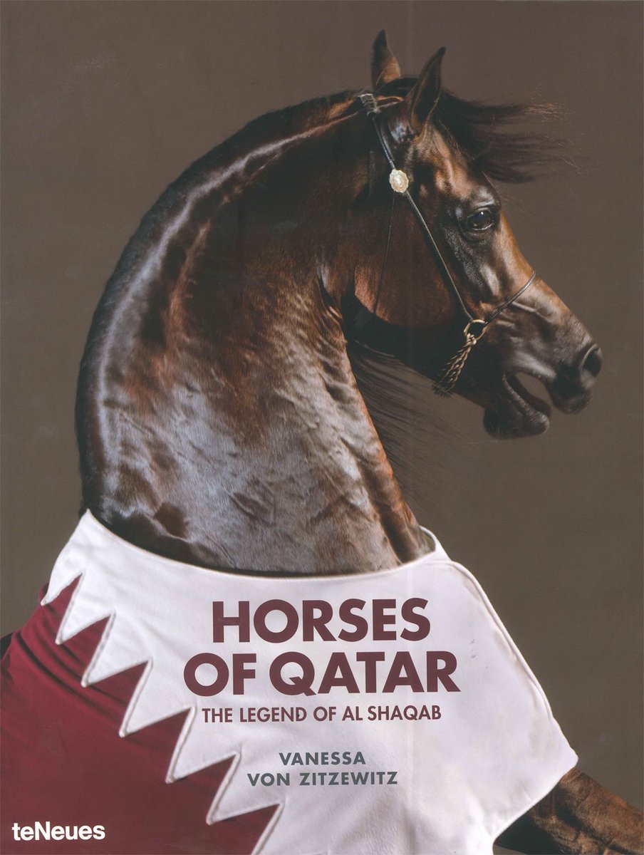 Qatar_Museums's tweet photo. Travelling soon? Don’t forget to check iN-Q shop @HIAQatar !
Find these #QMCatalogs #Art & #Historical stories! https://t.co/j1QcJPpH1A