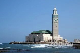 HassanHamouche4's tweet photo. @ParadisePict @cautiousIy 
شكران.يا.para
dis https://t.co/WDRQlAqCKR
