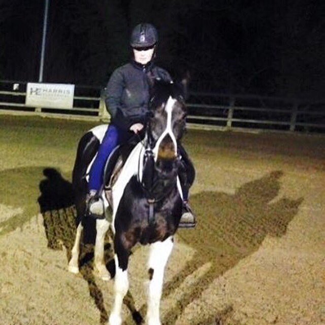 MyLovelyHorseR's tweet photo. Training/retraining rescued horses is part of what we do. Orla is a fab pony, ready for a permanent home #adopt https://t.co/fdB0ZQVvur