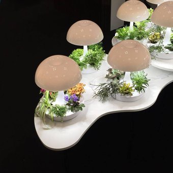 DesignApplause's tweet photo. ambienta @sagegreenlife wins best in show for lighting @nynowmarket #IFDANY #IFDASelects #nynow2016 https://t.co/nIwdP8HjAT