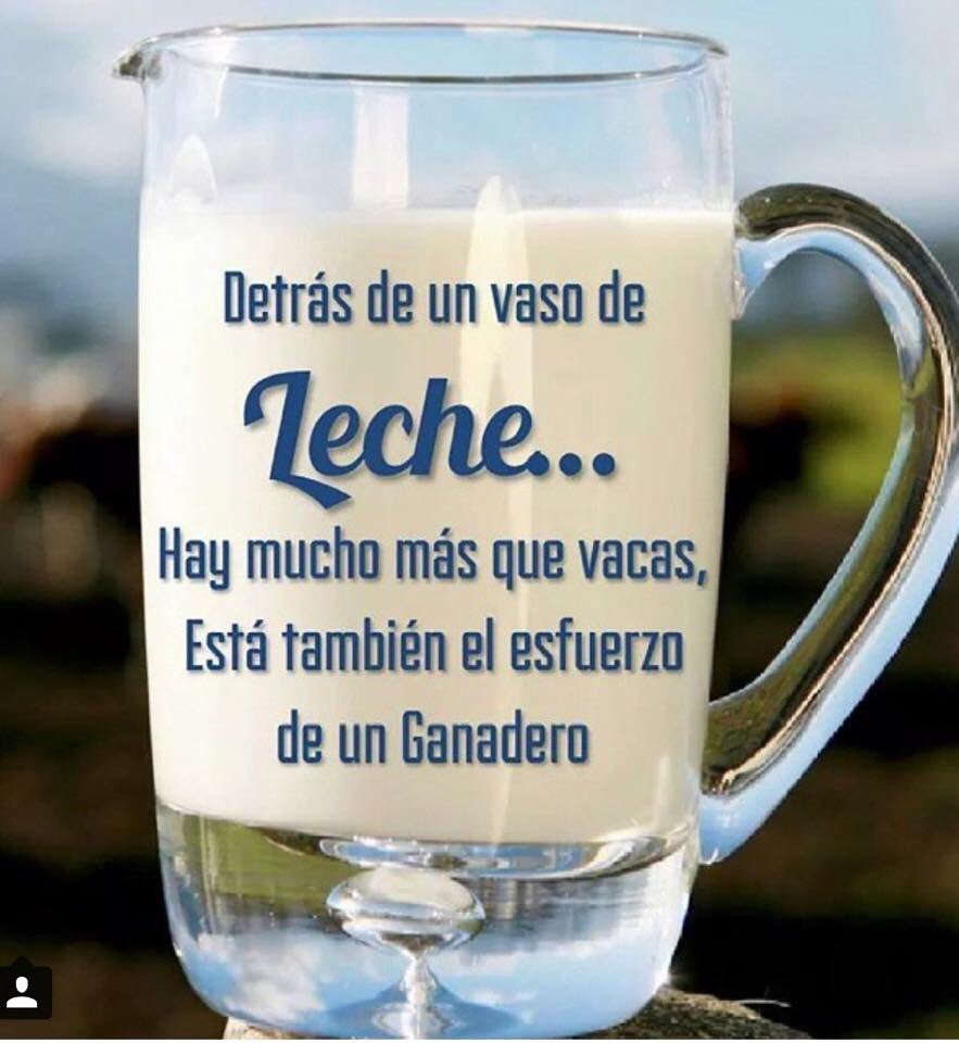 Patético erupción Predecir Franco Cafoncelli T. on Twitter: ""Detrás de un vaso de leche..." está el trabajo, pasión, esfuerzo, riesgo e inversión del ganadero y su gente! https://t.co/R3TP9eEx40" / Twitter Patético erupción Predecir Franco Cafoncelli T. on Twitter: ""Detrás de un vaso de leche..." está el trabajo, pasión, esfuerzo, riesgo e inversión del ganadero y su gente! https://t.co/R3TP9eEx40" / Twitter