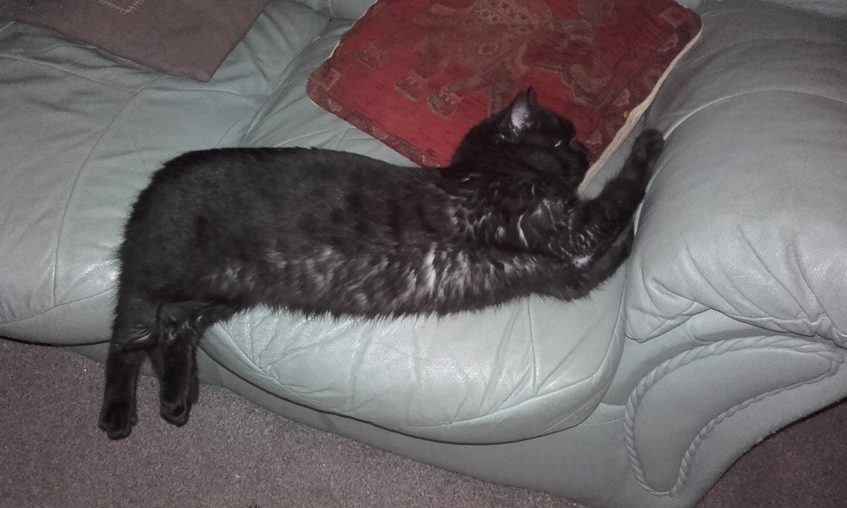 WestgateArk's tweet photo. An can get into some SERIOUSLY good positions! https://t.co/bKgEzqEGTX