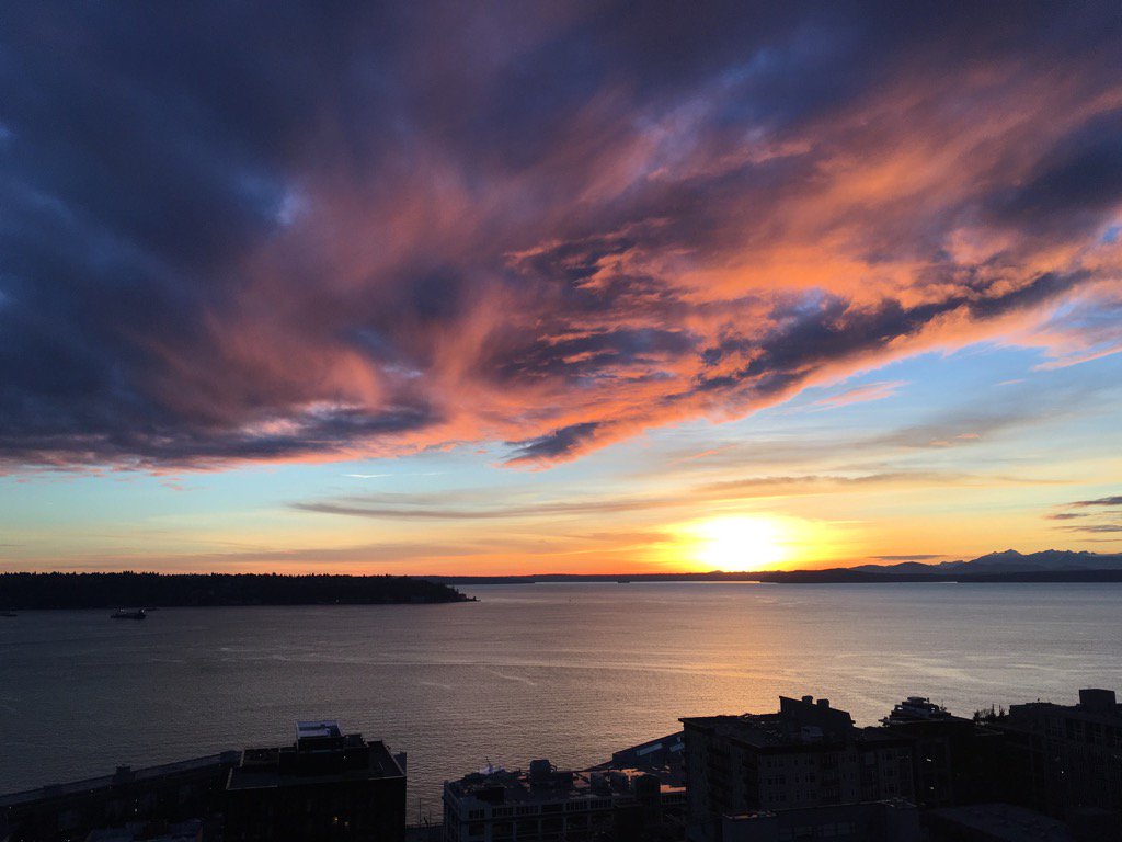 neil kumar tweet media