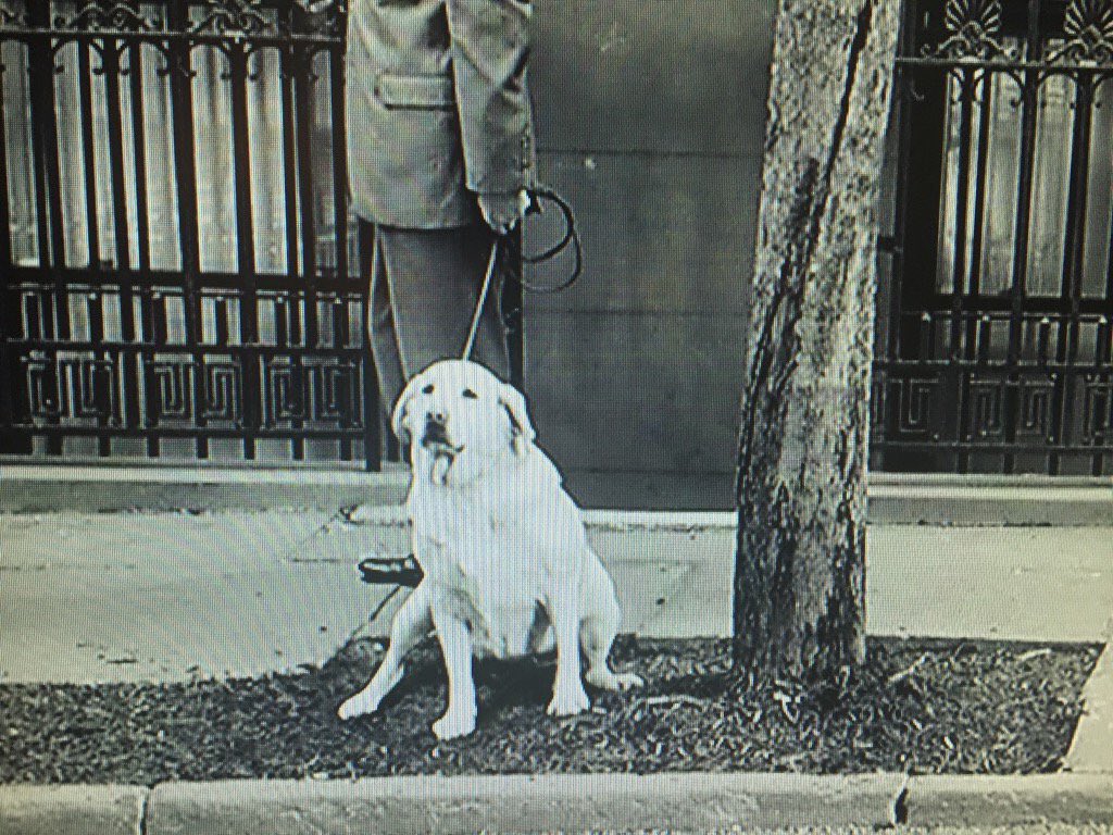 OpiodDog's tweet photo. This is the moment that changed it all for me. #NailedIt https://t.co/QV50A2ioDX