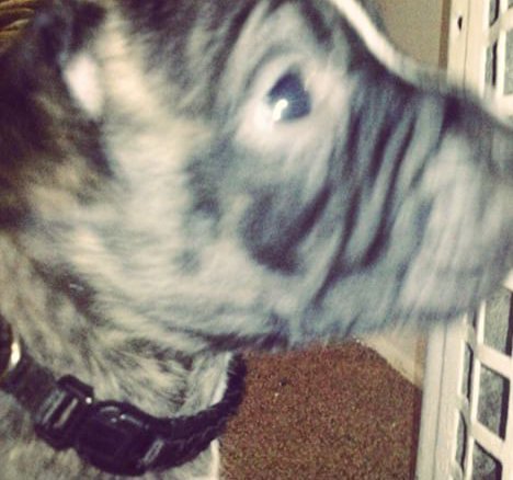 patricklayne10's tweet image. Like if cute🙊🙊🙊❤❤