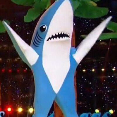 Where is left shark? :( #SB50