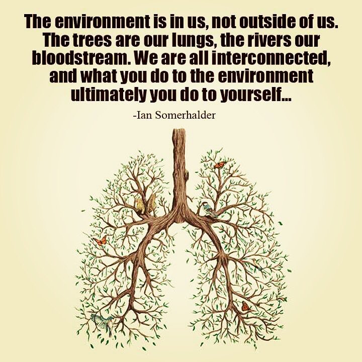Now more than ever is the time for change! Please do your part. #SaveTheTrees #StayWeird #CreativeHumans #Ch.