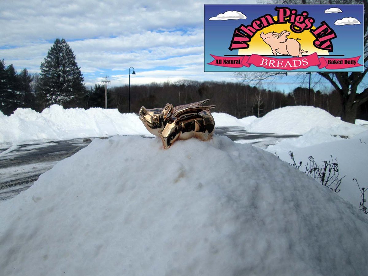 wpfbread's tweet image. Brookline Somerville JP bread stores closed Monday due to snow @wpfbread  Kittery &amp;amp; Freeport open regular hours.