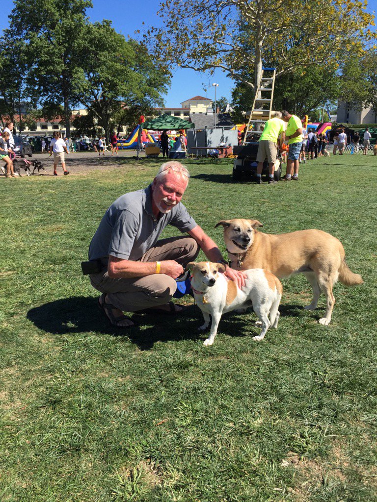jancdavis's tweet image. #PuppyBowlSubaru my two rescues and my guy