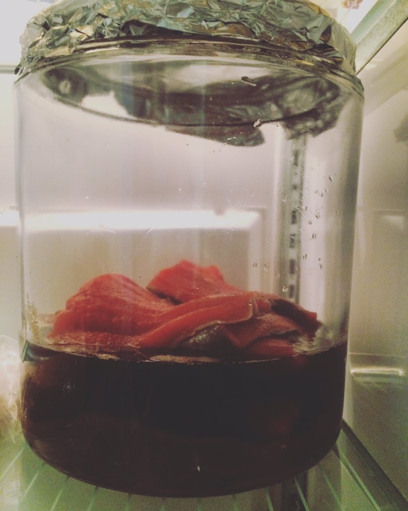 Megtedge's tweet photo. Brining salmon in Feb. gives me hope for summer. It's also magical to watch. #Alaska #AkMagic https://t.co/aYcuKa5mWY
