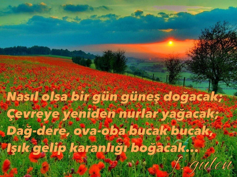 zhraaaa45's tweet photo. https://t.co/z9r5KwxMsg