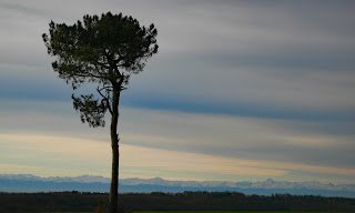 tarngites's tweet image. Check out the latest post on the blog. tarn-gites2014.blogspot.fr/?m=1
#warmJanuary