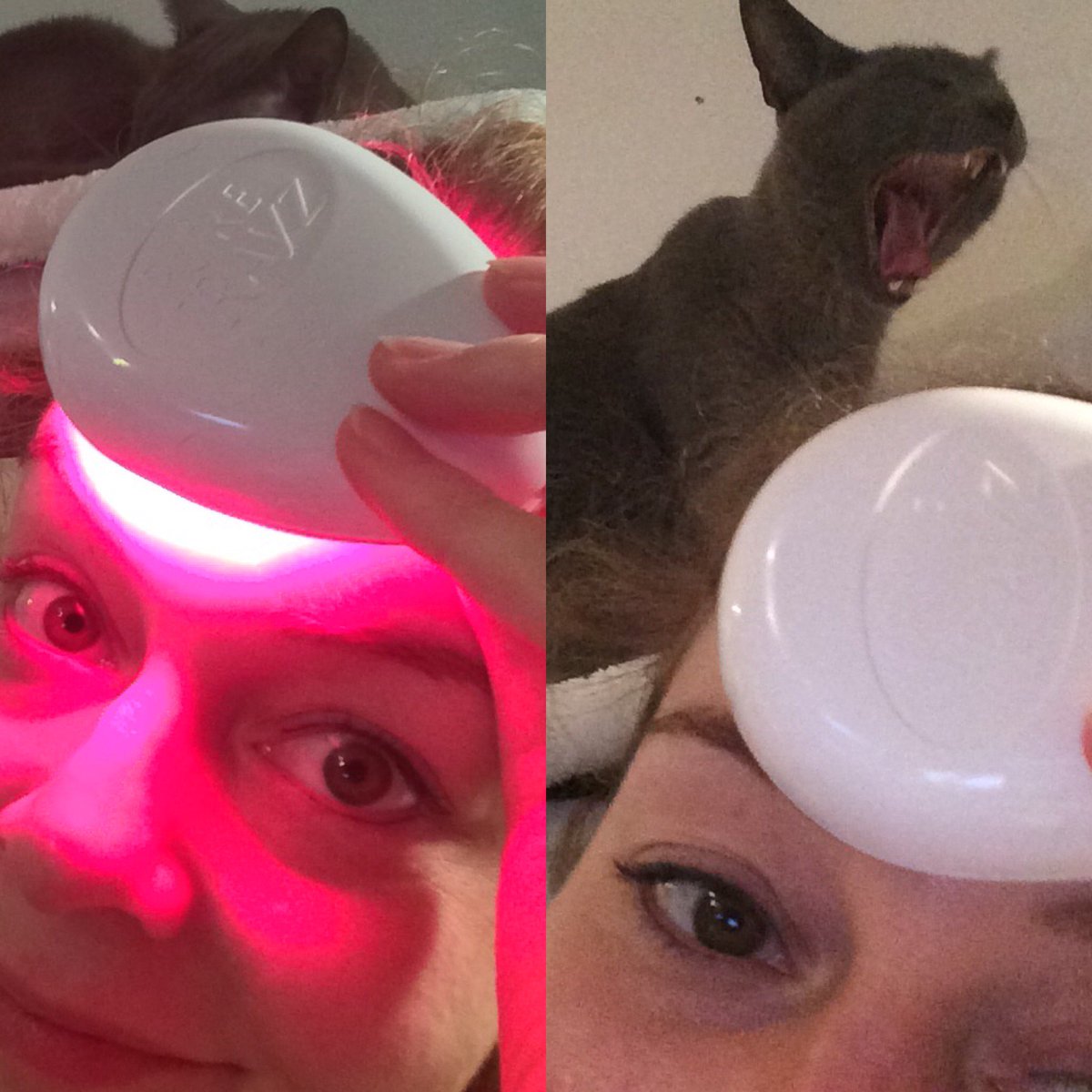 BeautyTestTube's tweet photo. "Turn it back on", screamed the cat. SO impressed with my #purerayz results! @BabyQuasar https://t.co/tpGO1YEgxU https://t.co/hjtpI8i0M3