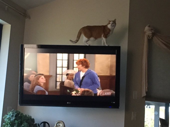 H A P P Y  S U P E R   B O W L   2 0 1 6 https://t.co/unDcf9jJJy