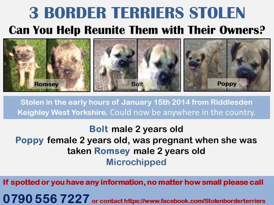 Sarah Williams (@findourpup) on Twitter photo 