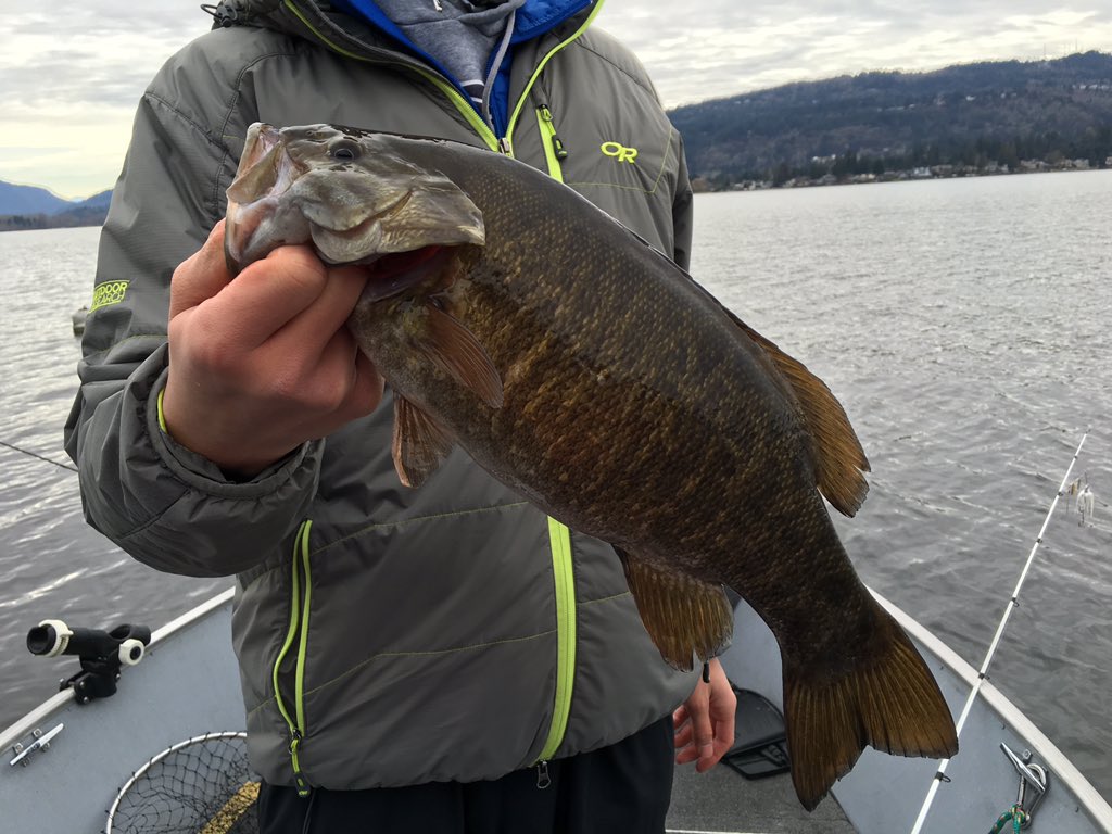 bassmaster_ty's tweet photo. Great to get out on the water again and snag a quality smallmouth! https://t.co/P2p9oxRKv8