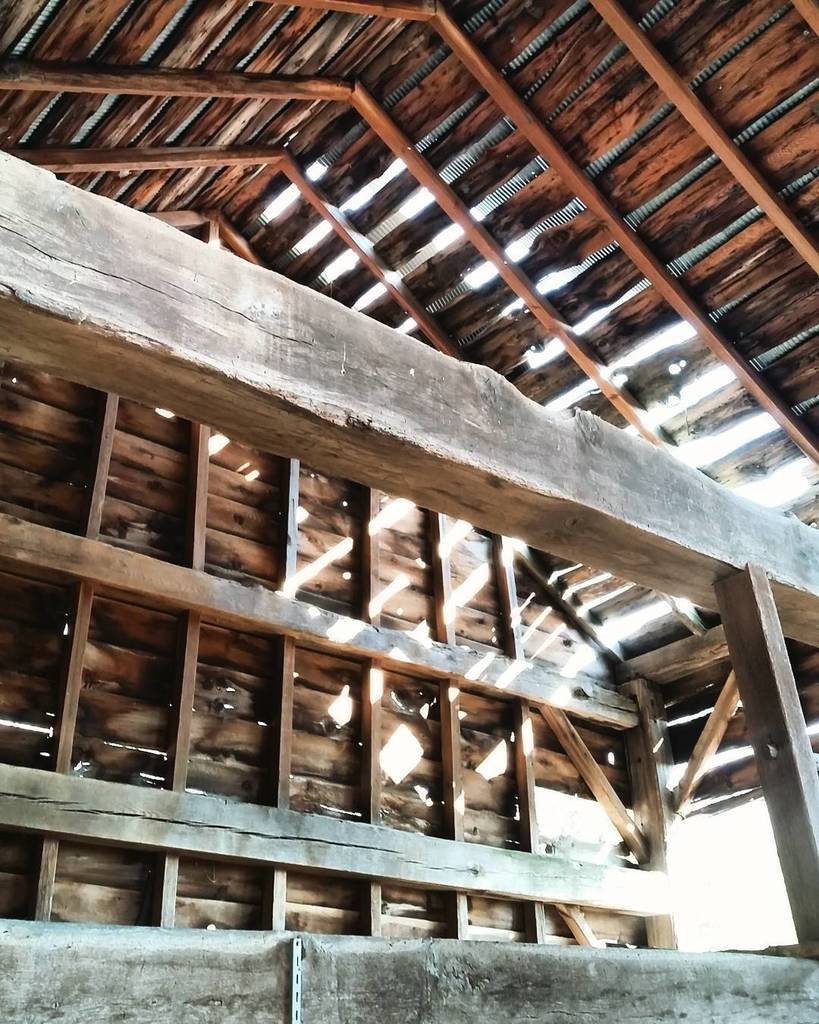 ArchitectMM's tweet photo. Site visit today for potential client... #haveimentionedilovemyjob #hudsonvalley #modernde… https://t.co/V449qyWcfi https://t.co/A2ZKg9hXX6