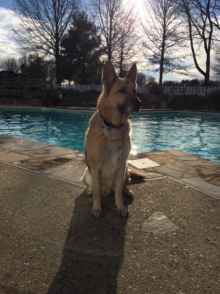 chrislightco's tweet photo. Almost time to watch the #SuperBowl #feelslikespring https://t.co/7sEAJkJL0P