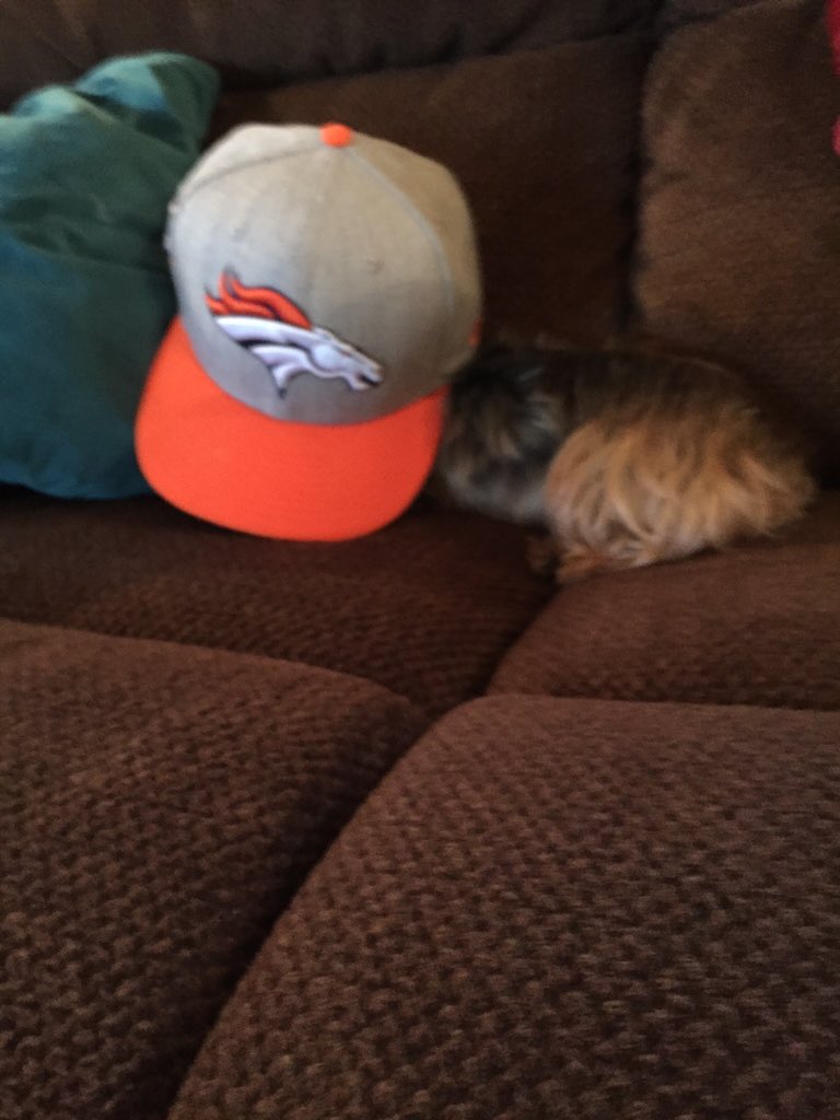 DeckerThewreck's tweet photo. Sup https://t.co/VCvLCgTAPq