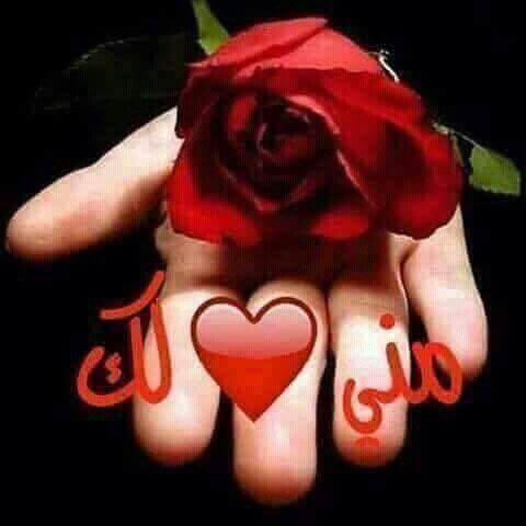 789ali78's tweet photo. الانثى لاتنسى رجلين : 
رجل اهملها وهي في قمة احتياجها له 
ورجل اسعدها دون انتظار مقابل***&amp;*** https://t.co/PH52CtLcVc