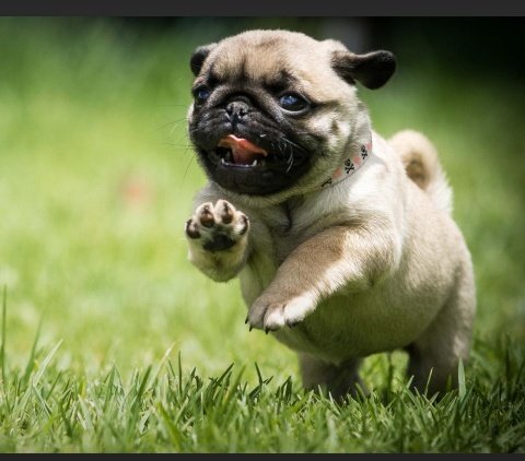 Good morning friends....