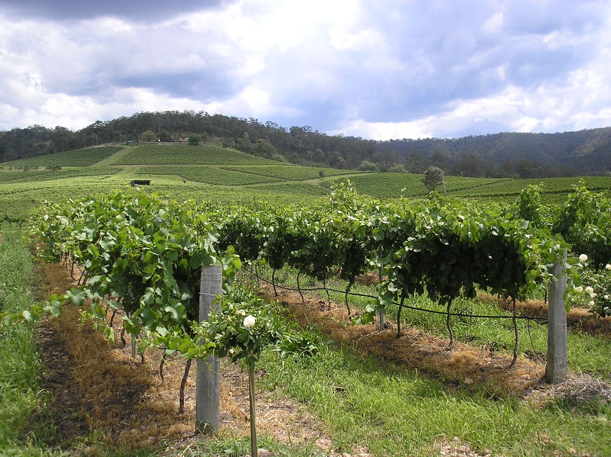 CUPIDSurvey's tweet photo. Just 2 days remaining to submit abstracts for #ALSWH Scientific Meeting @HMRIAustralia https://t.co/FVkOt60zT4 https://t.co/9TrBpBfSKa