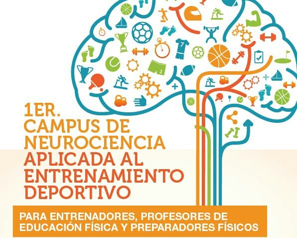 CerebroDeportiv's tweet photo. #CAMPUS
#CerebroDeportivo
#FechaInicio 15/2!
Últimas vacantes!
contacto@cerebrodeportivo.com
https://t.co/MFlJl30KtS https://t.co/akbyBbsVrT