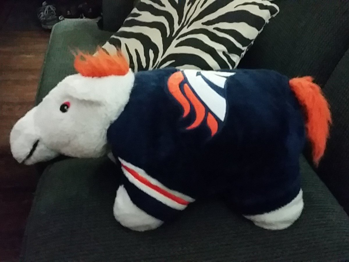 CudaHighway's tweet photo. https://t.co/EOMj2HAGRI   #SuperBowl Go @Broncos Go. #rocknroll @johnelway  #SuperBowlSunday Yeeehaaaw #stallion https://t.co/JAkmYfcBvt