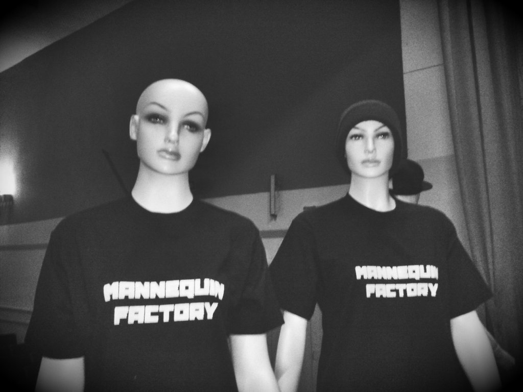 TulaPhoenix's tweet image. #ФабрикаМанекенов попала в топ-100 самых разыскиваемых запросов Google за январь 2016 по Тульской области! #КОФеникс