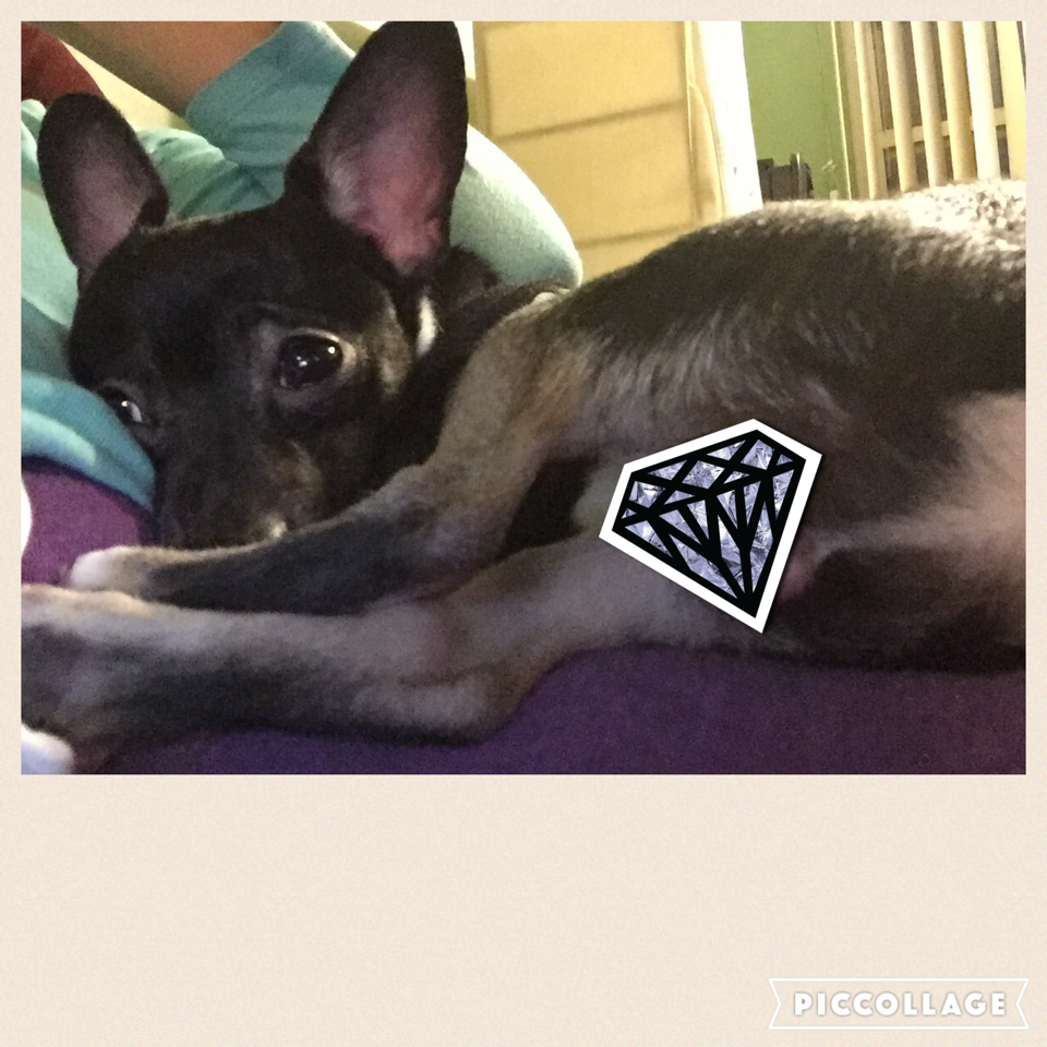 LolaSpeaks's tweet image. No family jewels on Twitter. Nah son. Respect to all the ladies. #fennex pic-collage.com/_qbKgGKwP