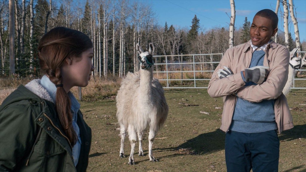 Ontario & Quebec tonight you learn why Adam is called LLAMA BOY! A