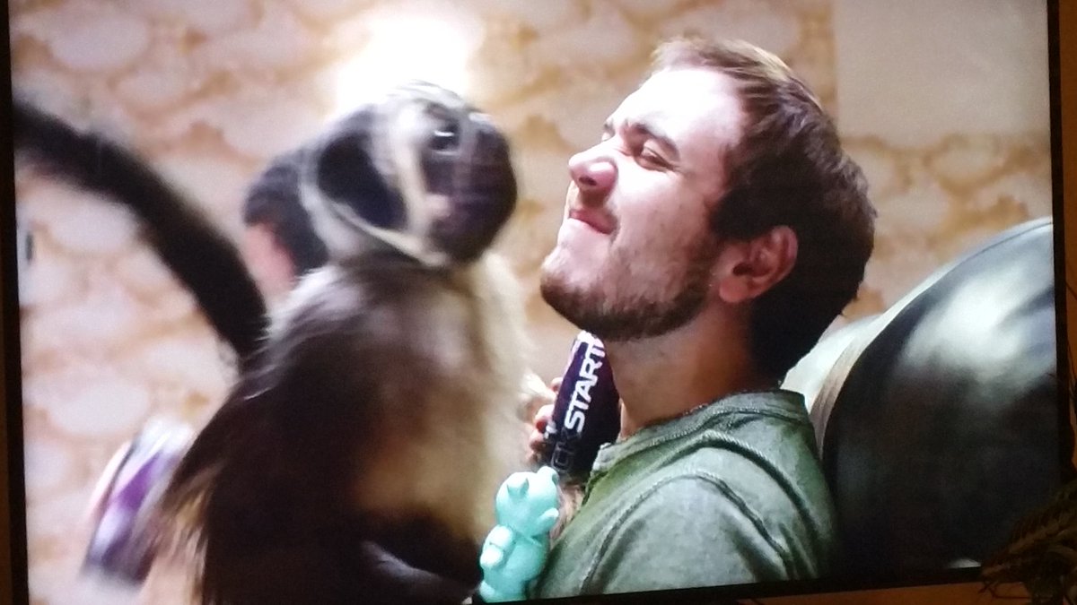 WCP_PR's tweet image. On a scale of 1-10 this Mountain Dew Superbowl Commercial gets a 1. #SuperBowlSunday  #wcpcommunications