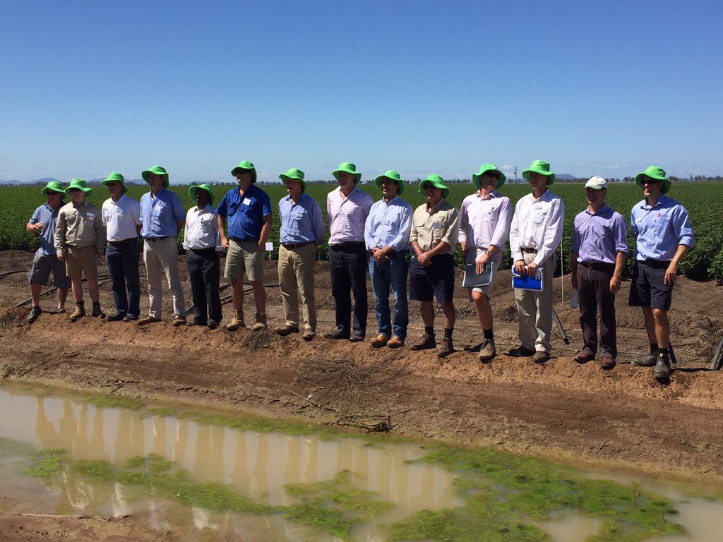 MsLisaHerbert's tweet photo. Bright green terry towelling bucket hats. The Cotton Info team at this field day at #Gunnedah https://t.co/Hcdlt6TMvc