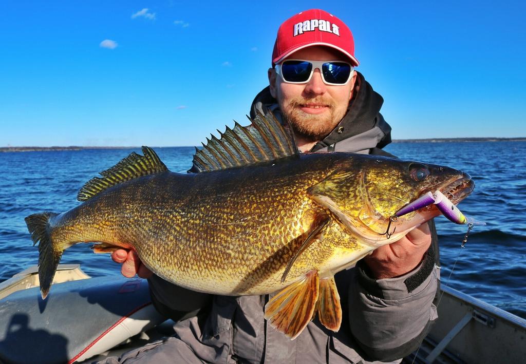 MatthewHeayn's tweet photo. The #Rapala Deep Jointed Husky Jerk strikes with this #bayofquinte walleye, nearly 11lbs. @rapalaarmy @BAY_OF_QUINTE https://t.co/2ylXiSbwHj