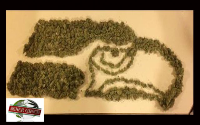 MichaelStusser's tweet photo. @TMZ Marijuana is Safer! @highergtv #SuperBowl https://t.co/txYl4P4oLl