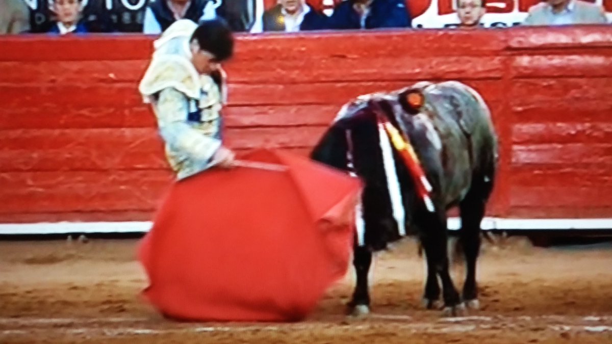 paco1rafigura's tweet photo. ¿A qué has venido? https://t.co/flWhmblN2N