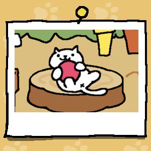 Jadziex Friday (@jackie_big_tits) | Twitter