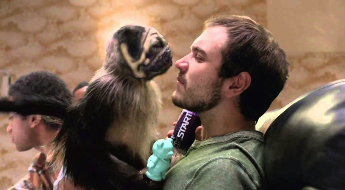 MeninistTweet's tweet photo. Rt for puppy monkey baby

Like for Hillary Clinton https://t.co/bkllVdRuw4