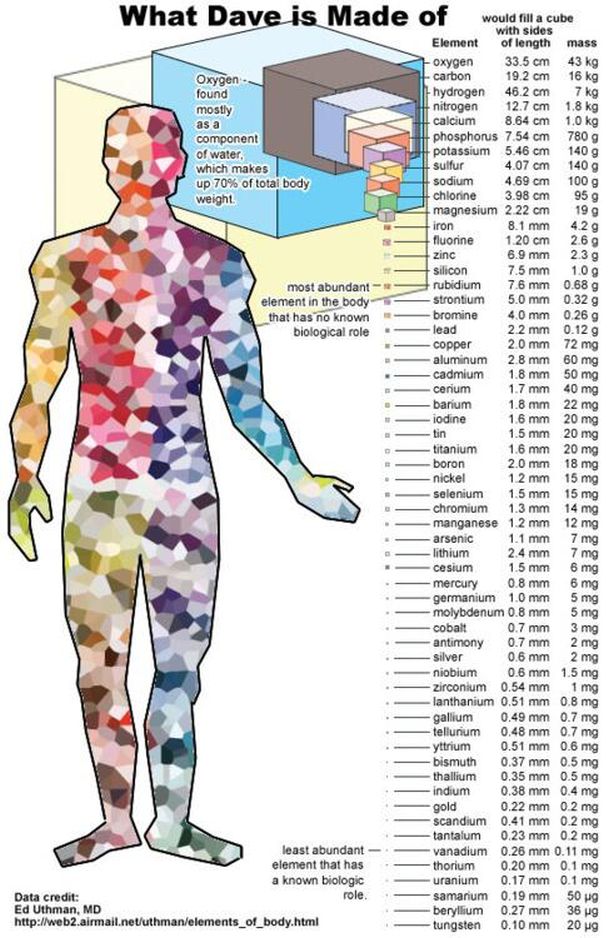JohnRMoffitt's tweet image. Happy birthday #DmitriMendeleev He would&apos;ve loved to see this chart of rough size &amp;amp; mass of each element in a human.