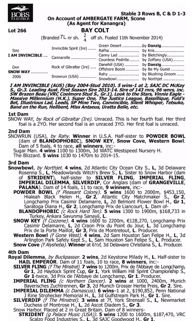 KennewellRacing's tweet photo. Happy to be going home with another #I AM INVINCIBLE colt.
Lot 266 @inglis_sales Classic Sale.
#valuepurchase @60k https://t.co/nxDJxpKHAl