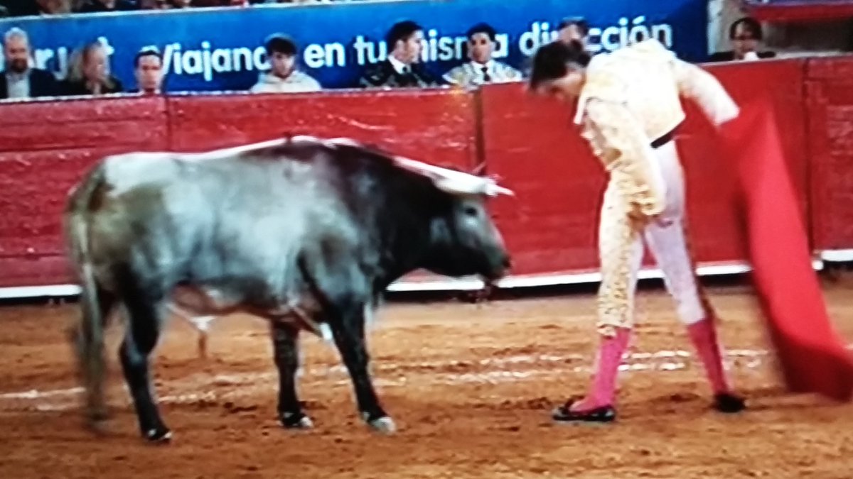 paco1rafigura's tweet photo. https://t.co/3RIrrU1Lcw // TARDE DE CONFIRMACIONES !!
17a de temporada en La México. https://t.co/KJt9KPgTrS