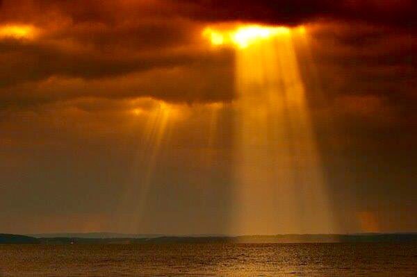 anje_jolie's tweet photo. #Angeloftheladder #photography #hope https://t.co/UX826B9Jg5