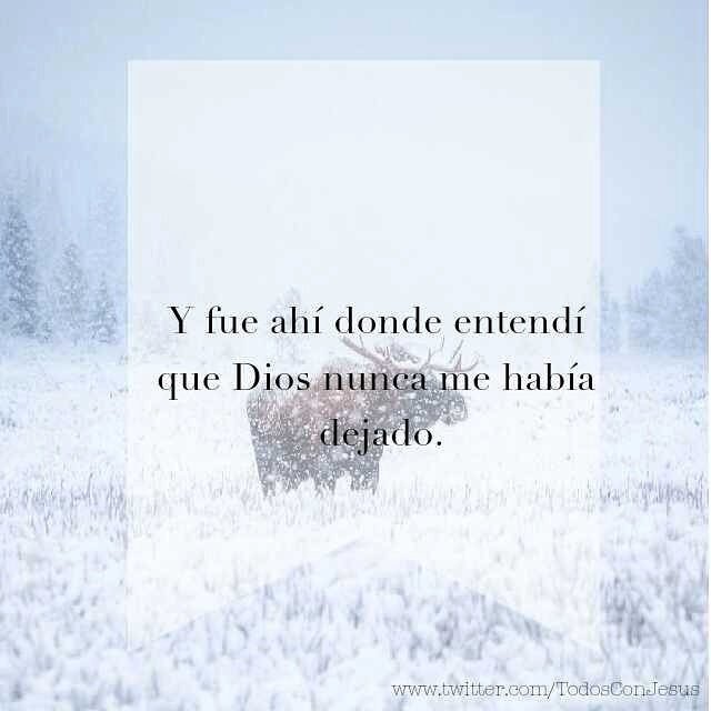 Julissa Flores tweet media