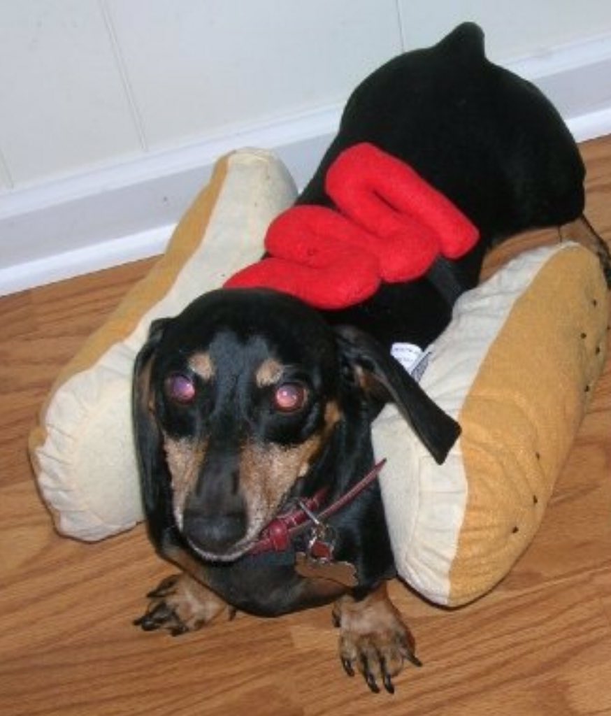 Tanner says the Heinz commercial is his favorite. He's just sad they didn't ask him to be in it. #SB50 🏈