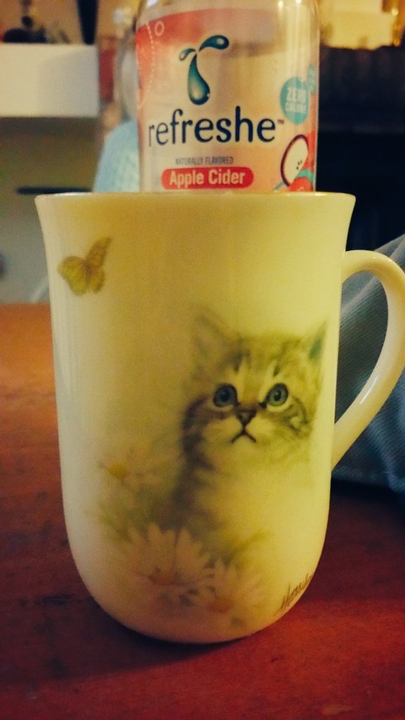 TurnTheWrenches's tweet photo. Coffee cup game on point #kitten #coffee #cute https://t.co/6lFtwUMSRE